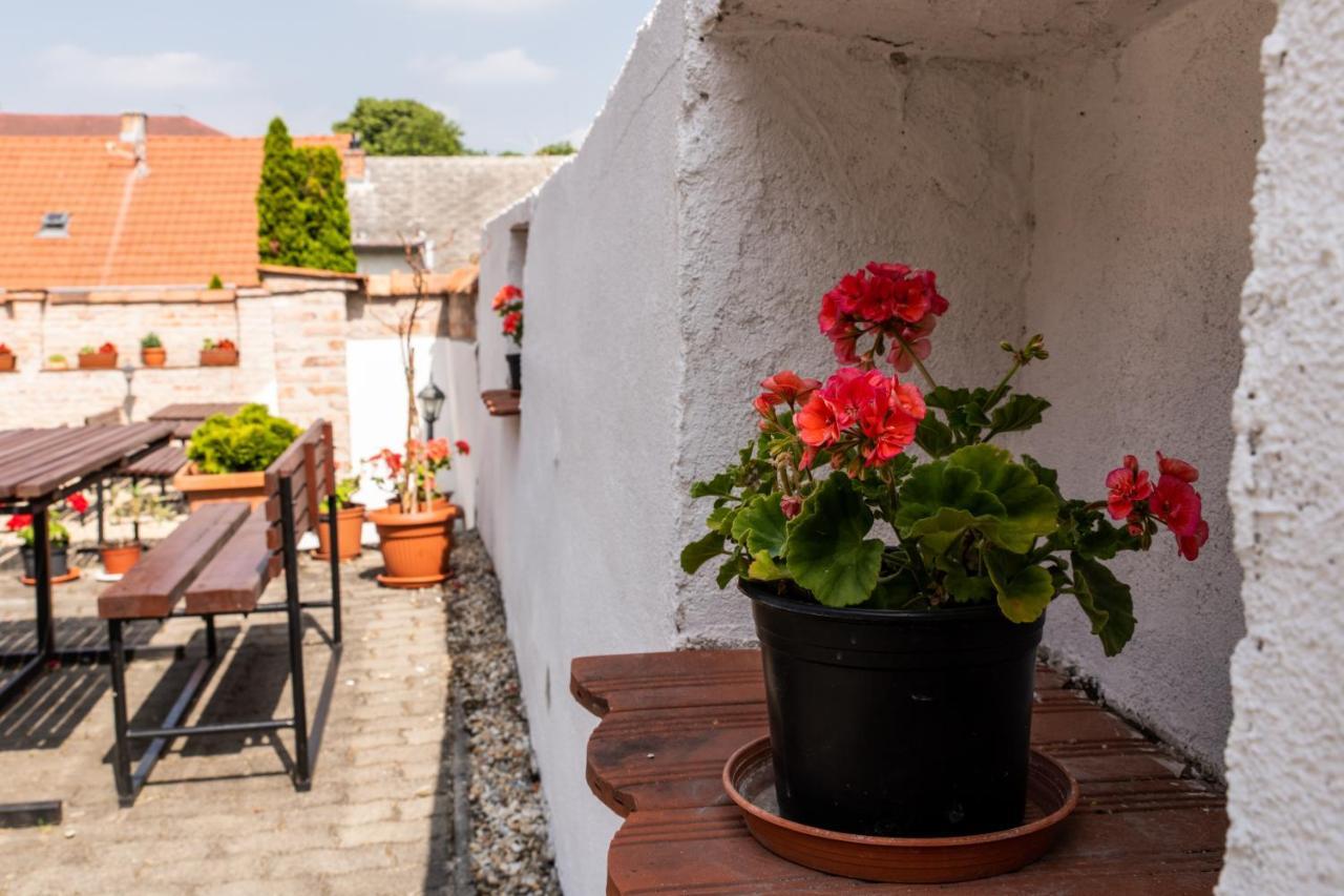 Fenyes Vinorium Bed & Breakfast Sopron Dış mekan fotoğraf