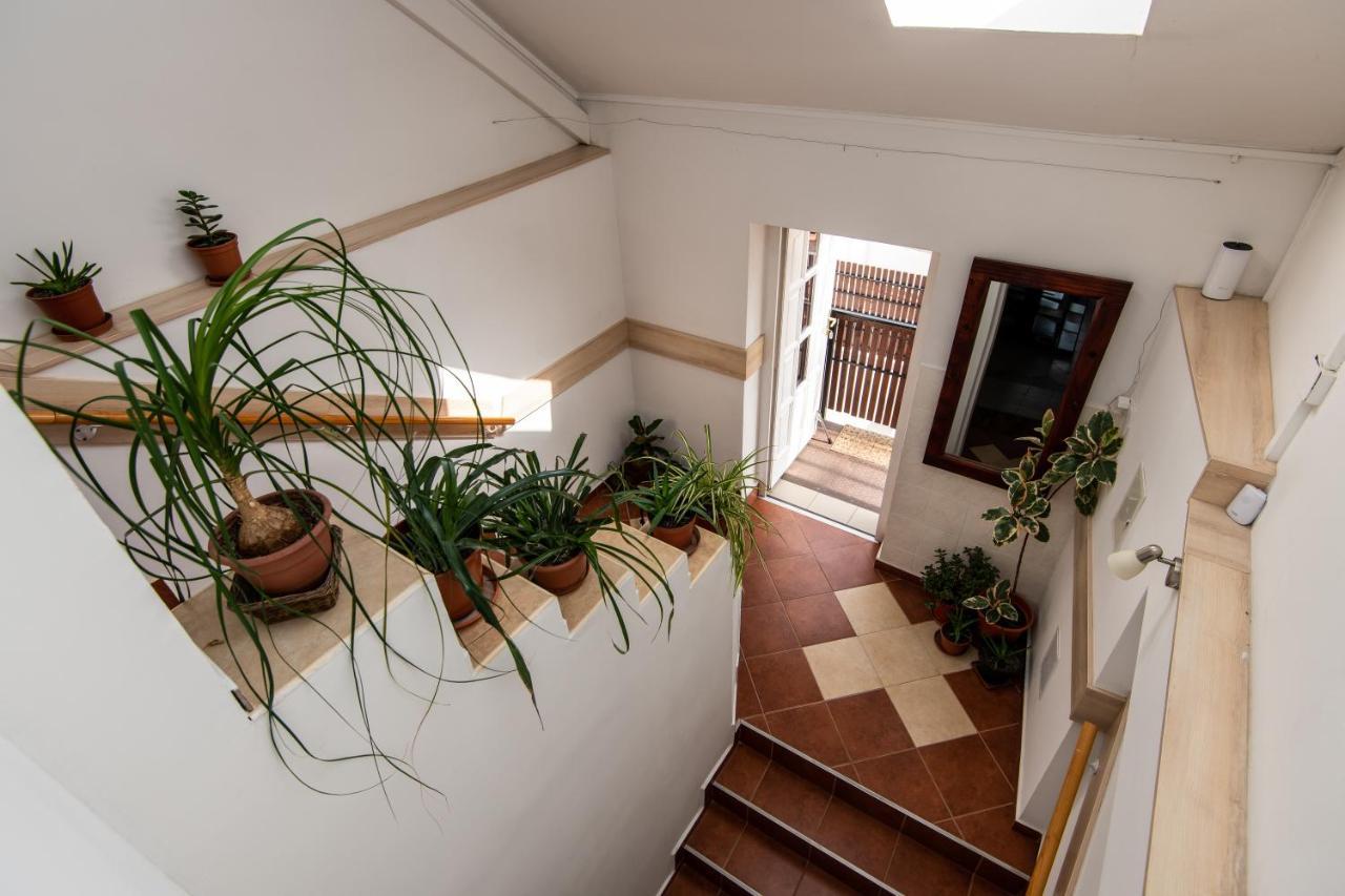 Fenyes Vinorium Bed & Breakfast Sopron Dış mekan fotoğraf