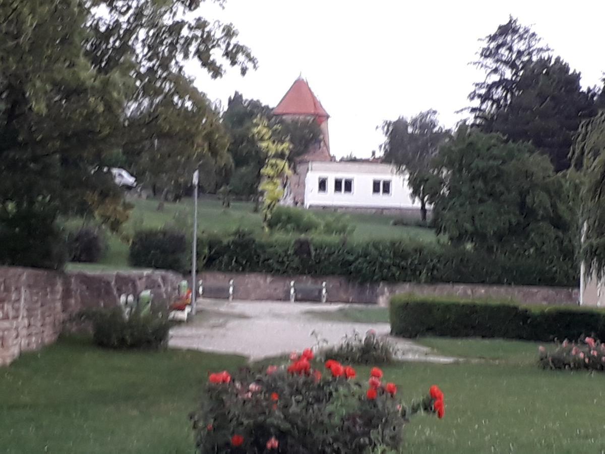 Fenyes Vinorium Bed & Breakfast Sopron Dış mekan fotoğraf
